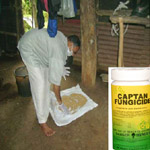 Seed Treatment with Captan